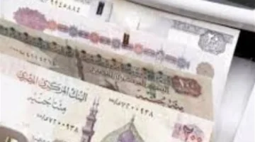 تفاصيل وشروط شهادة يوماتي الجديدة بعائد متغير للمدخرين الأفراد من البنوك